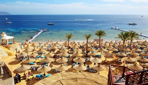 Частота авиарейсов на курорты Египта станет известна через месяц