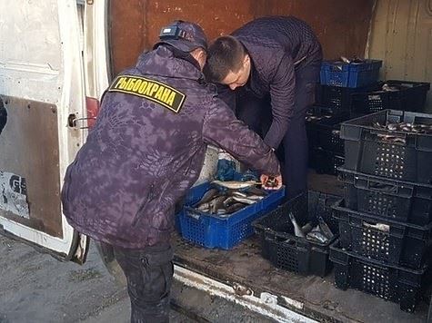 Пограничники поймали браконьера с рыбой на 4 миллиона рублей