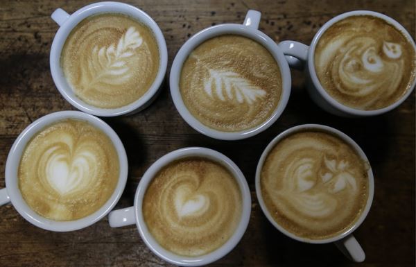 В США собрались улучшать экологию при помощи кофе