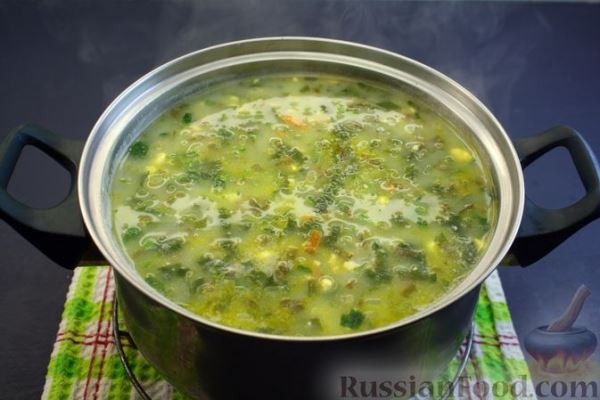Картофельный суп со щавелем, черемшой и сметаной